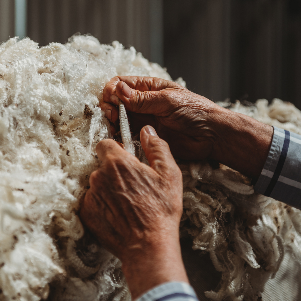 Five Fun Facts About Merino Wool